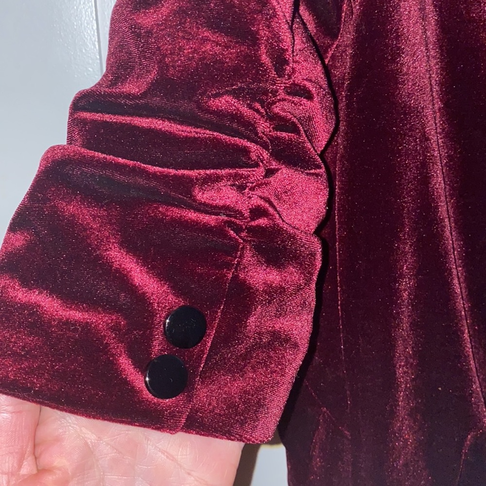 Dark Red Velvet Blazer - Picture 5 of 7
